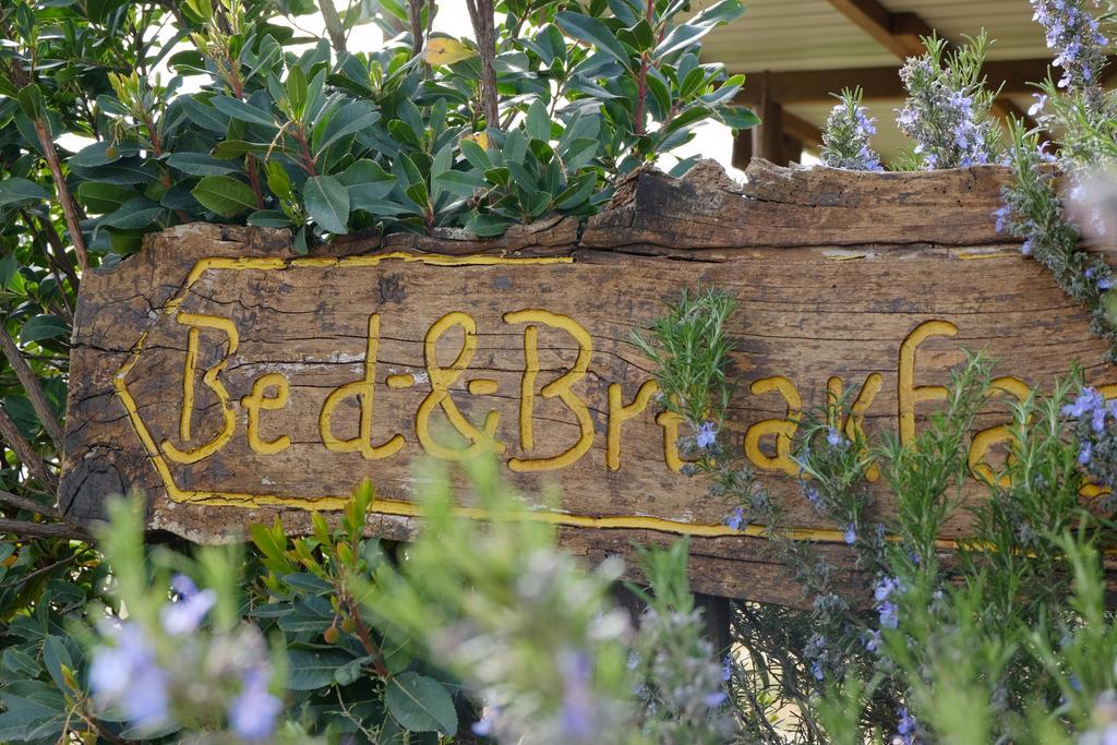 B&B Podere Ospedaletto Bolsena Eksteriør bilde