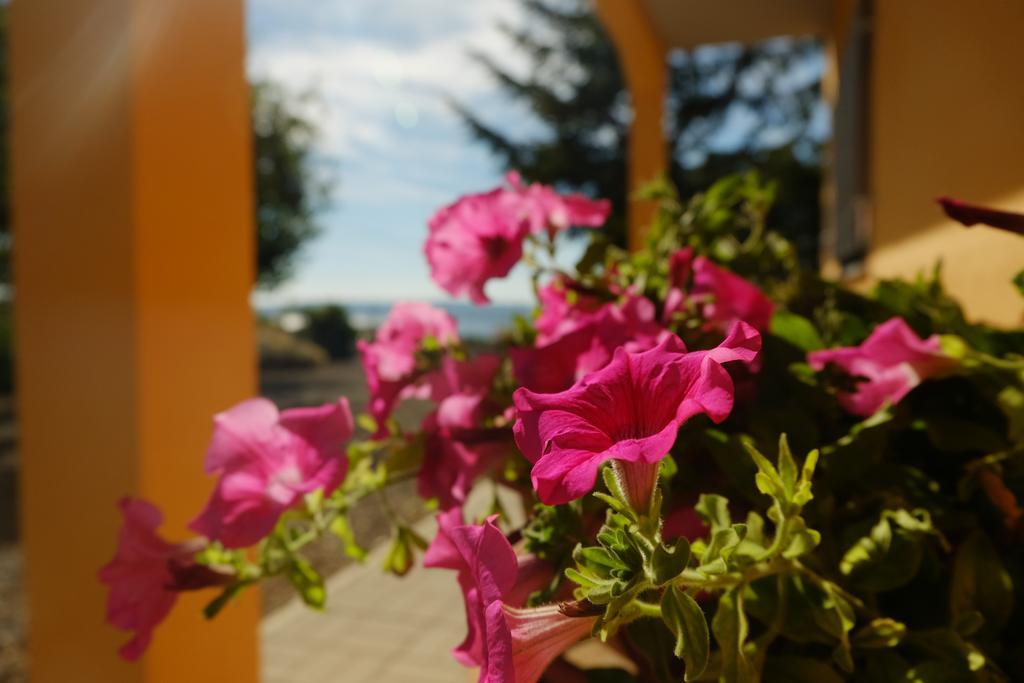 B&B Podere Ospedaletto Bolsena Eksteriør bilde